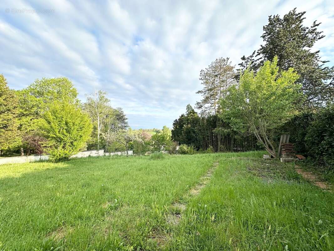 Terrain à MONTREVEL-EN-BRESSE