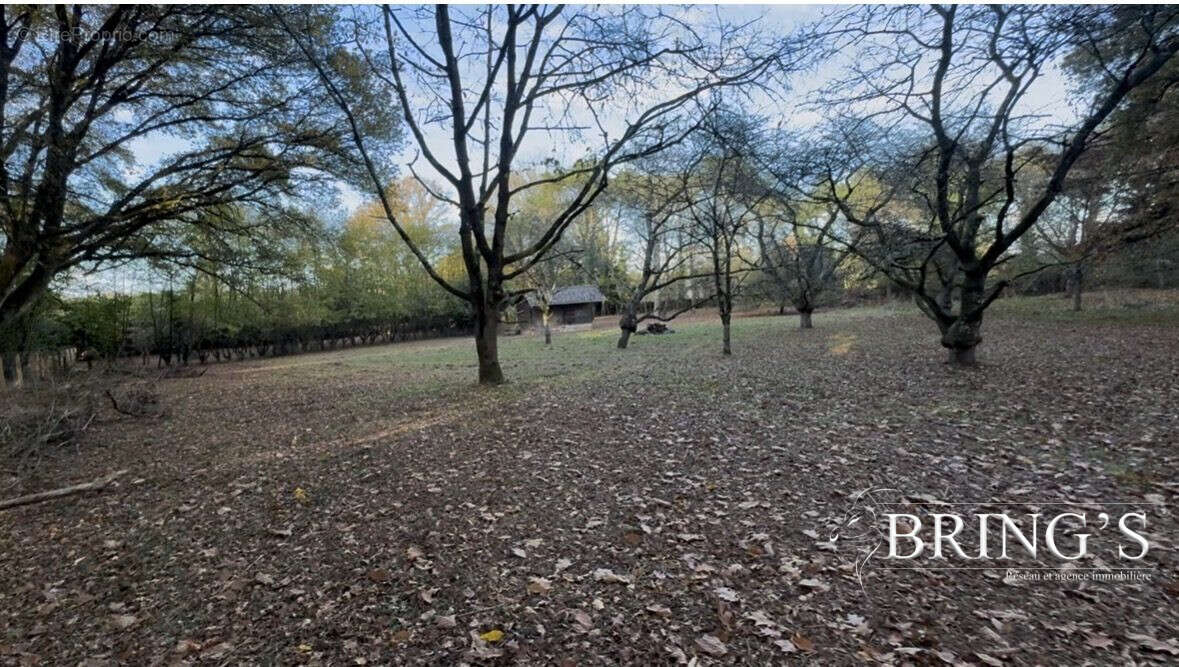 Terrain à CHATEAUBRIANT