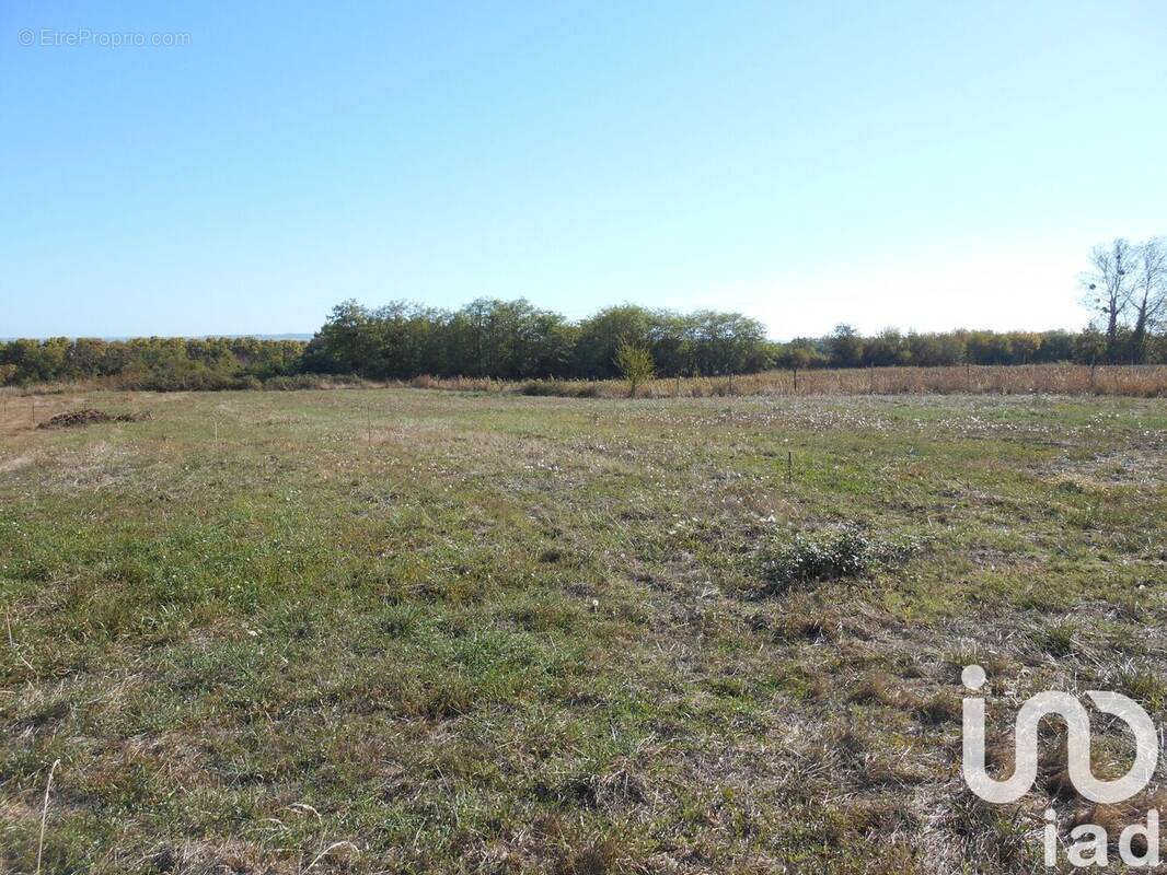 Photo 1 - Terrain à FOURQUES-SUR-GARONNE