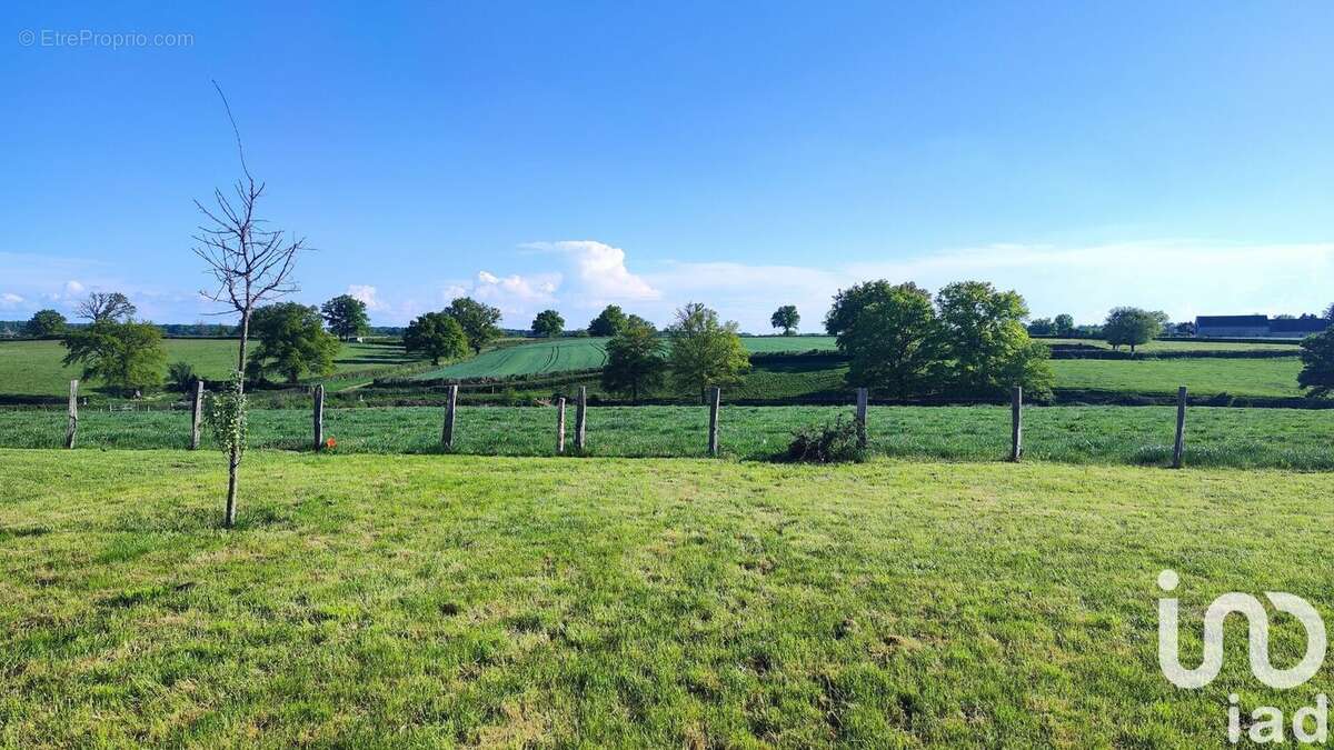 Photo 3 - Terrain à PALINGES