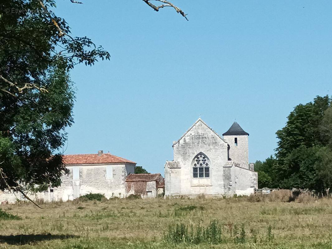 Terrain à LE MUNG