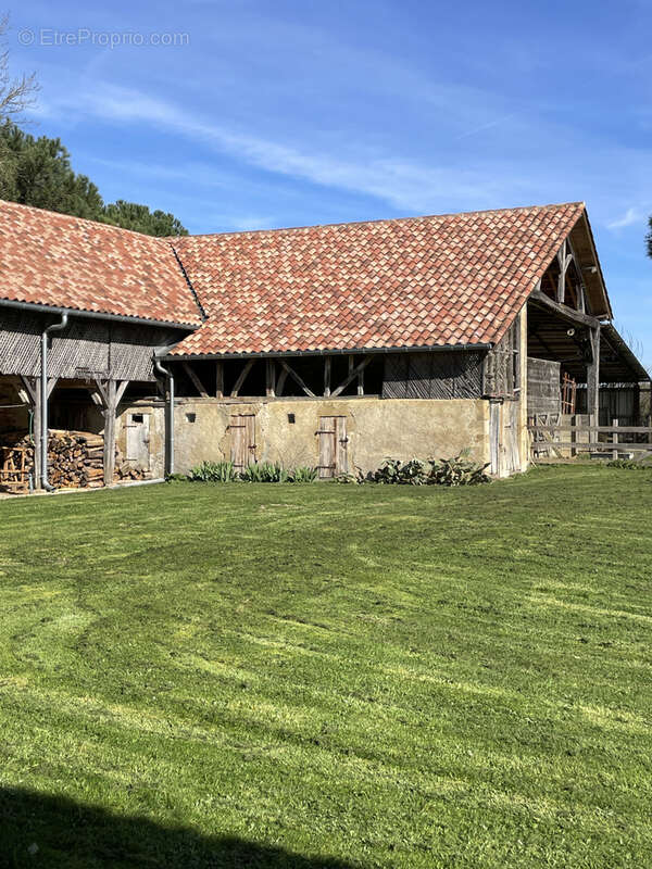 Maison à MARCIAC