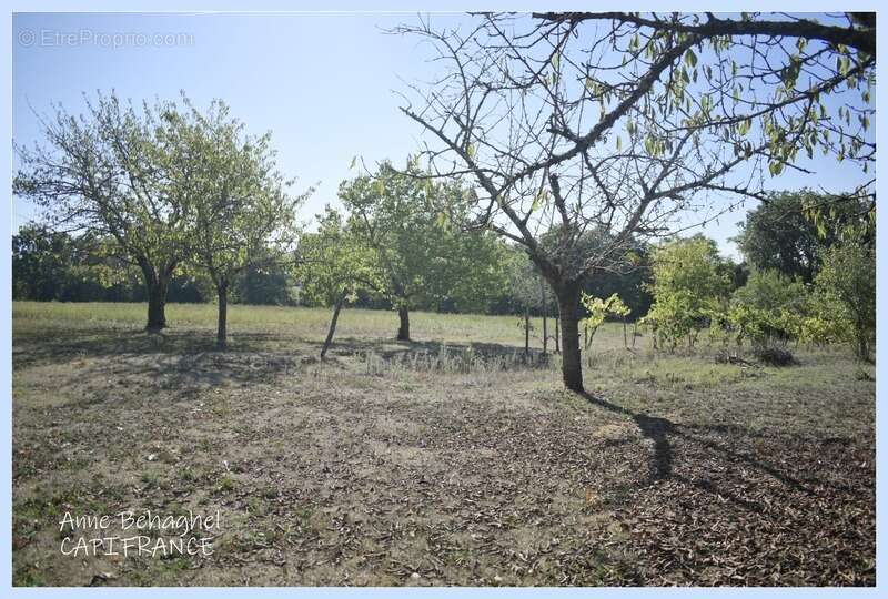 Dpt  (32), à vendre corps de ferme  170 m2- Terrain de 11642m2 - photo 20