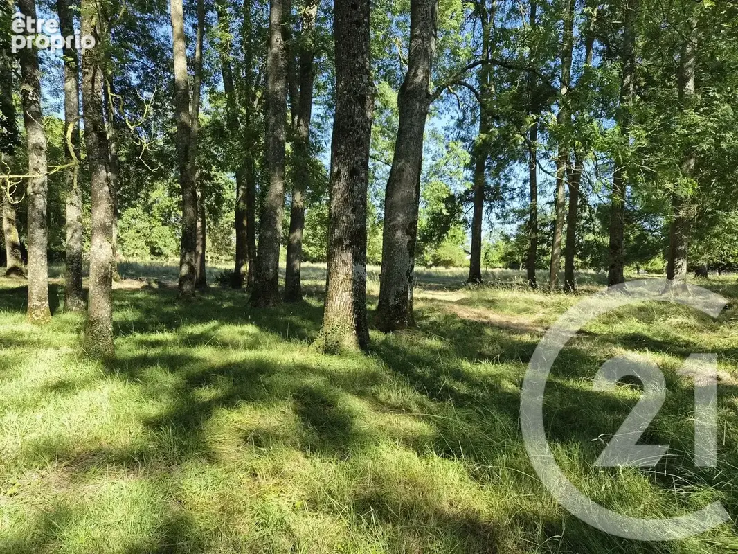Maison 10 pièces 300 m² à vendre à Bernay (27300) - photo 20