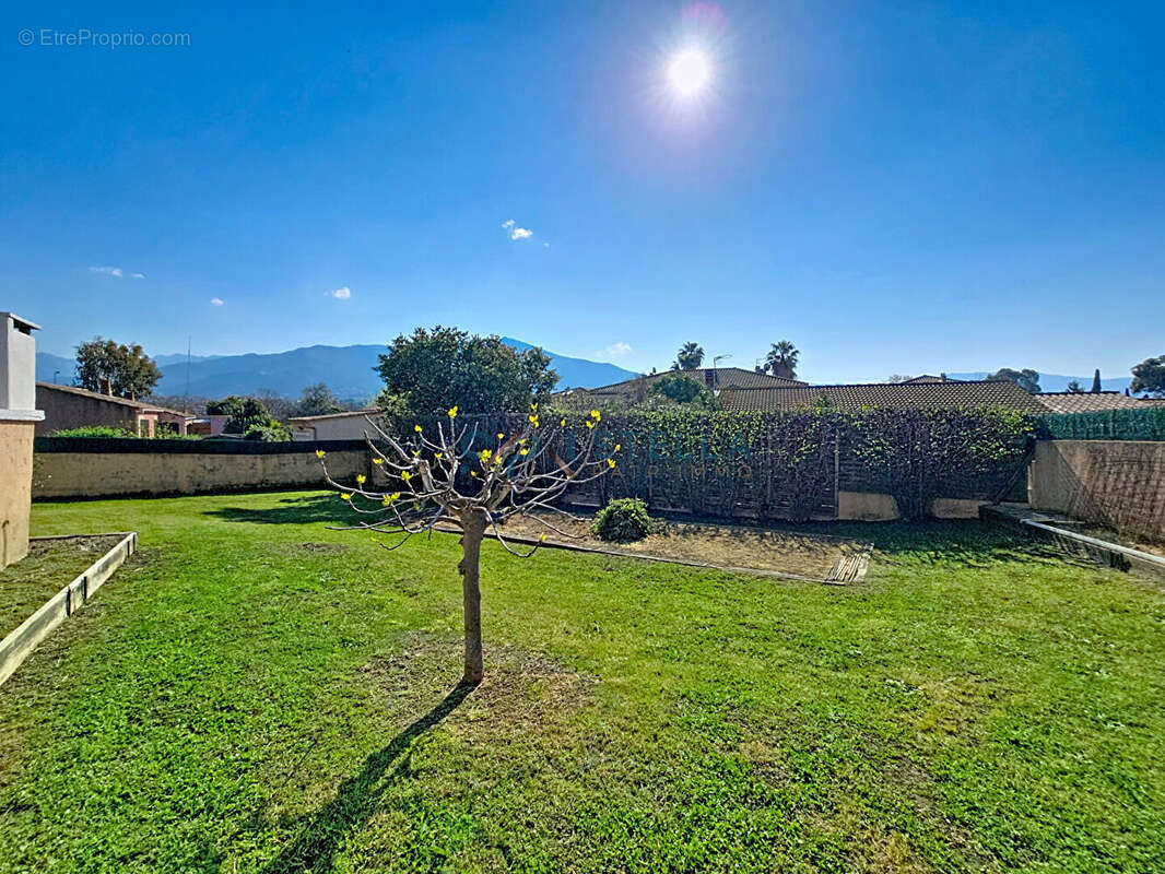 Maison à SARROLA-CARCOPINO