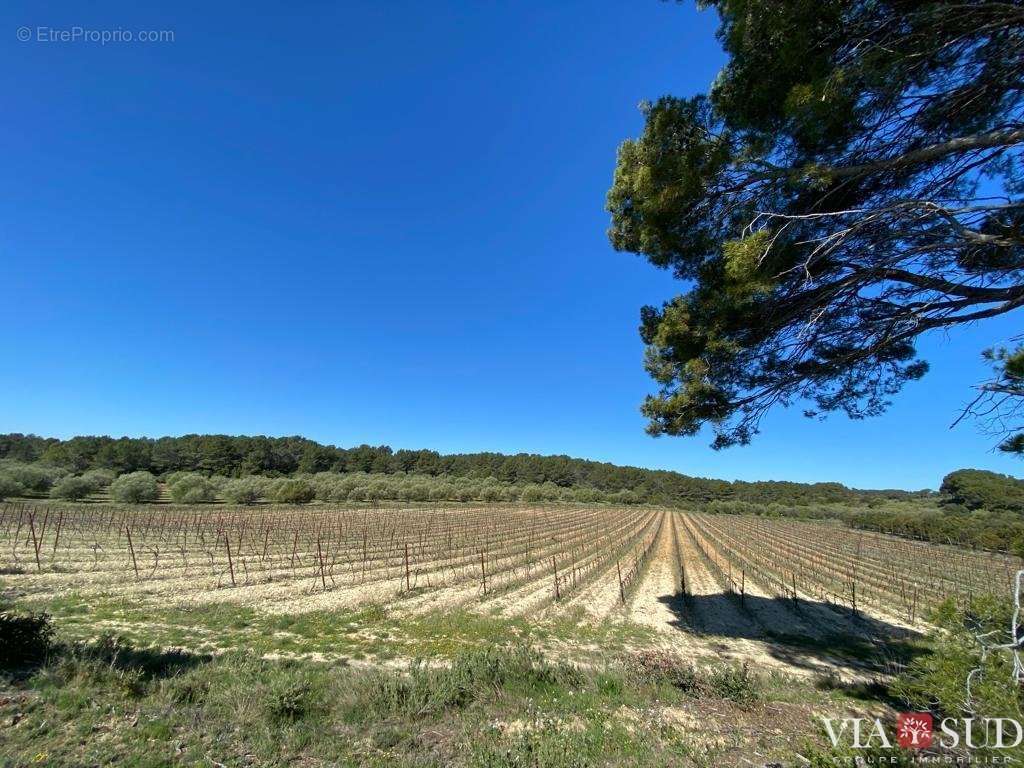 Maison à PUISSERGUIER