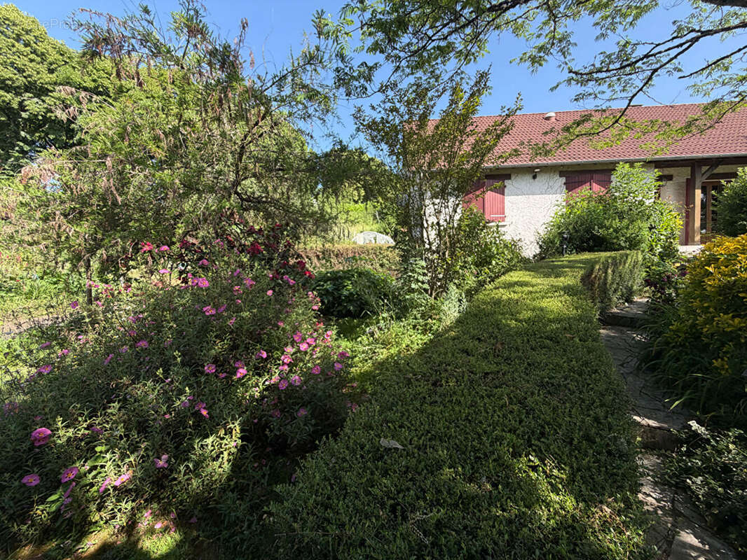 Villa 5 chambres - photo 18