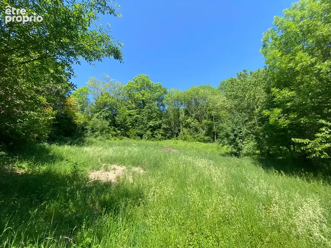 Terrain à SAINT-NIZIER-DU-MOUCHEROTTE