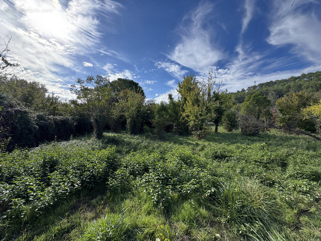 Terrain à CARNOULES