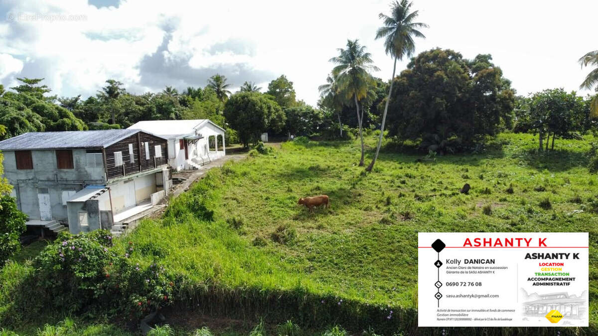 Terrain à LES ABYMES