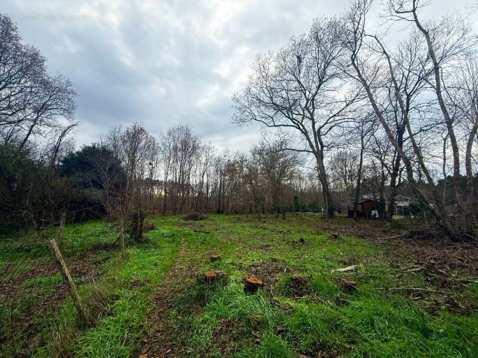 Terrain à SAINT-SELVE