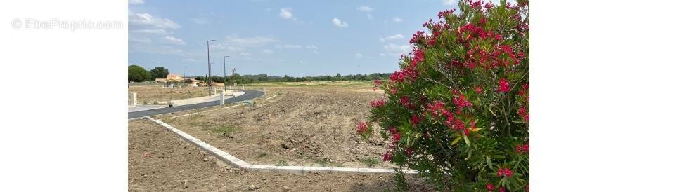 Terrain à VILLESEQUELANDE