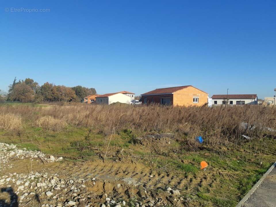 Terrain à MERVILLE