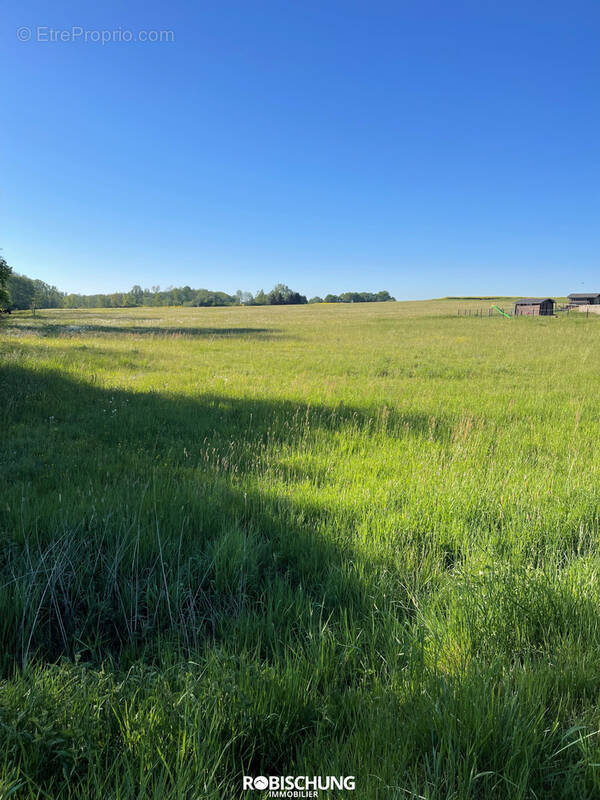 Terrain à MAGNY