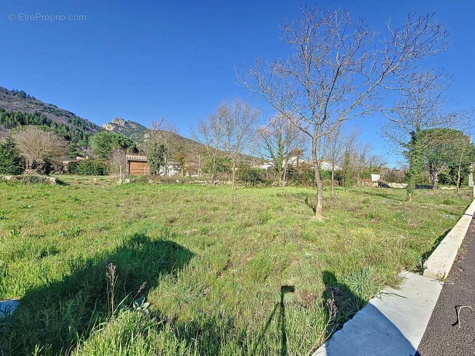 Terrain à COLOMBIERES-SUR-ORB