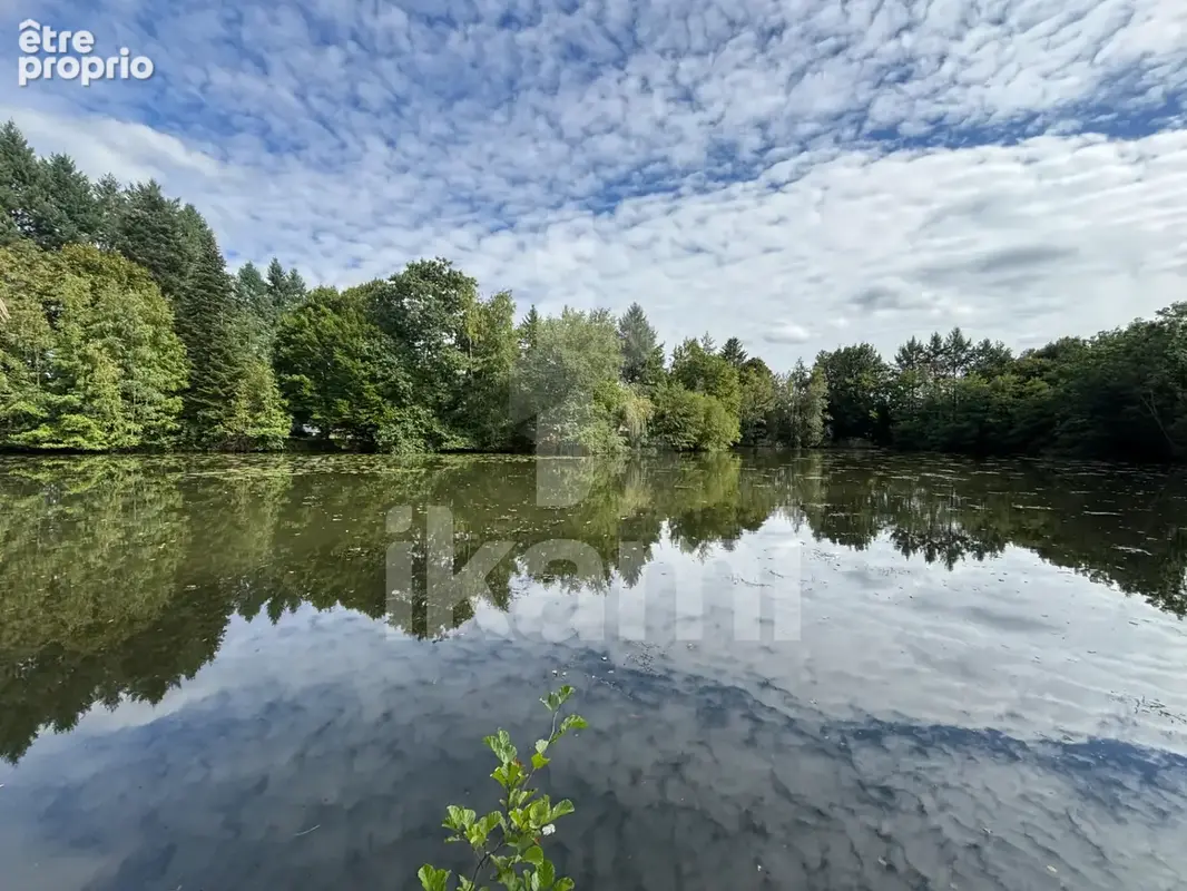 Charmante propriété en Sologne sur plus de 2 hectares avec étang et piscine étang - photo 3