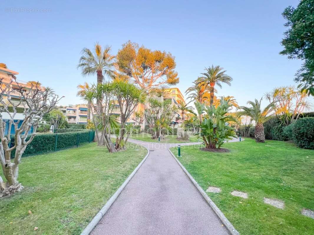 EXCLUSIVITE - Cannes - Bas Croix des Gardes - photo 22
