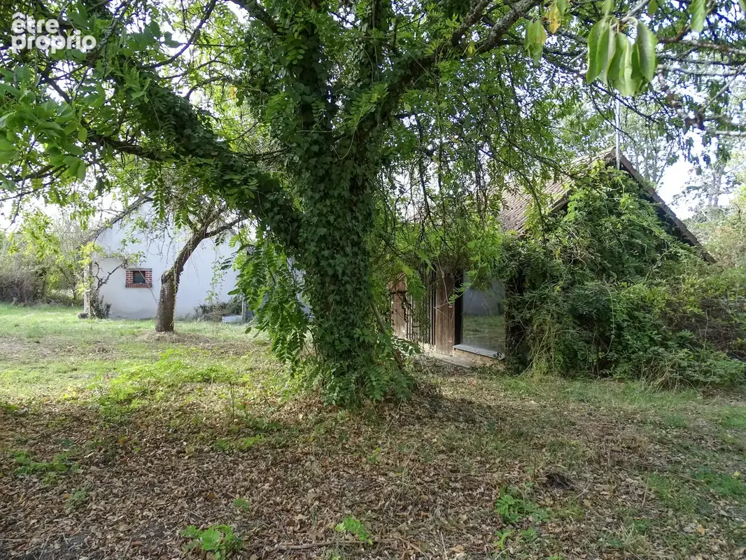 Fermette solognote à langon sur cher - photo 11