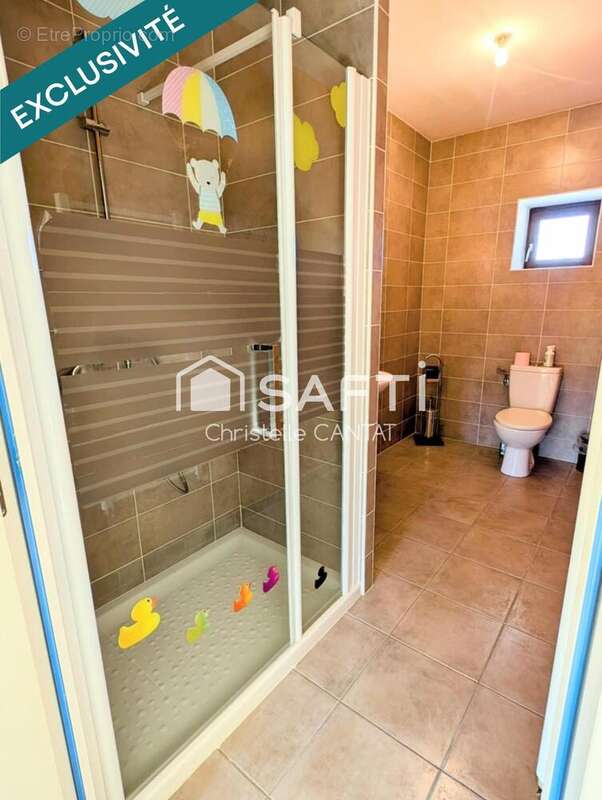 Maison 199 m² à Bussiere-Saint-Georges  - photo 9