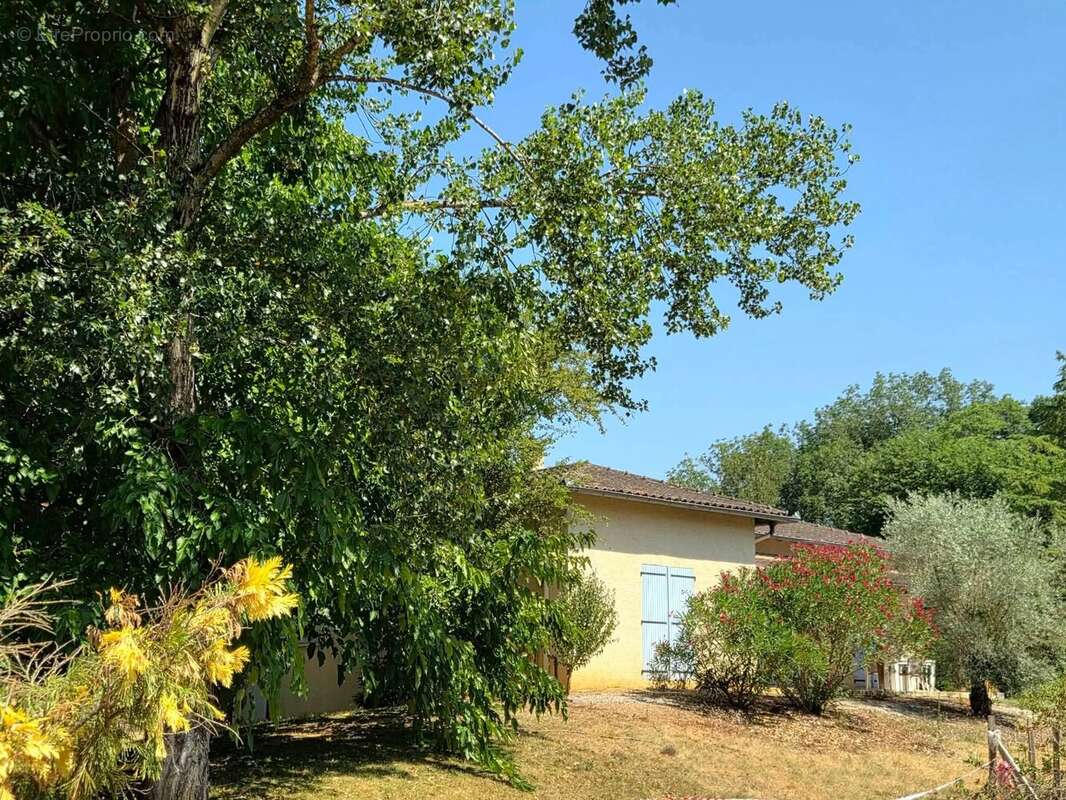 Maison de plain-pied avec grand terrain - photo 2