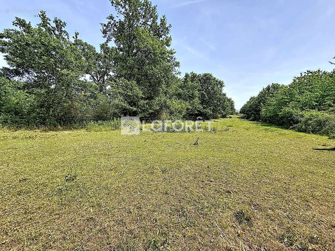 Maison Les Trois Lacs 5800m² terrain - photo 9