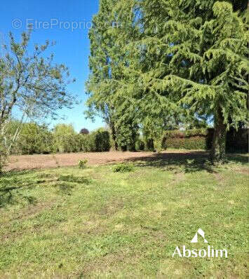Terrain 920 m² à Beaulieu-Sur-Layon  - photo 3