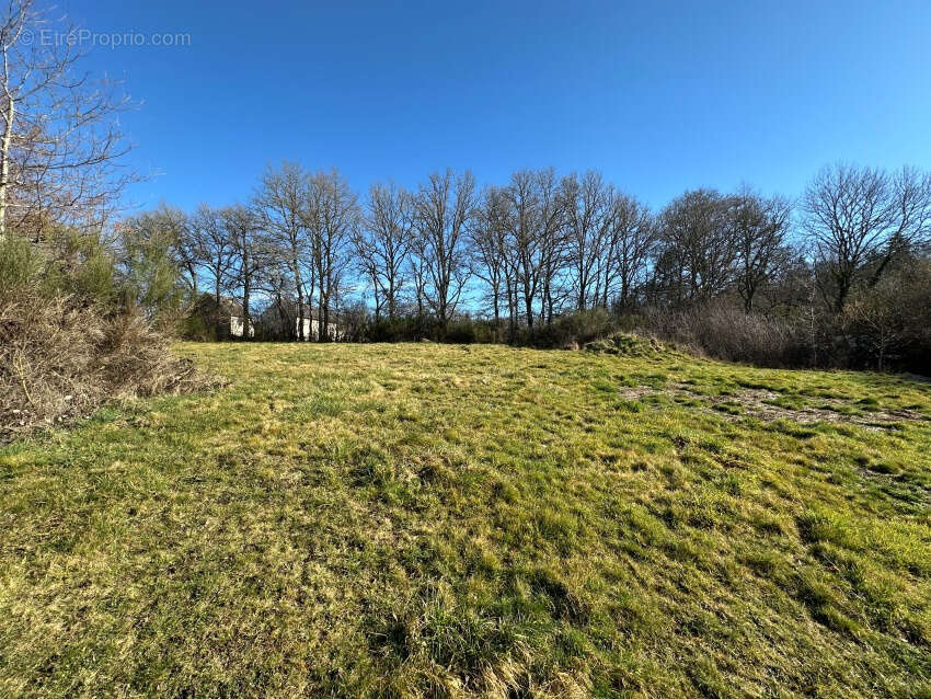 Maison à SAINT-GERVAIS-D&#039;AUVERGNE
