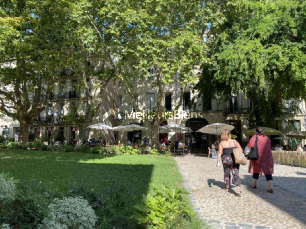 Commerce à MONTPELLIER