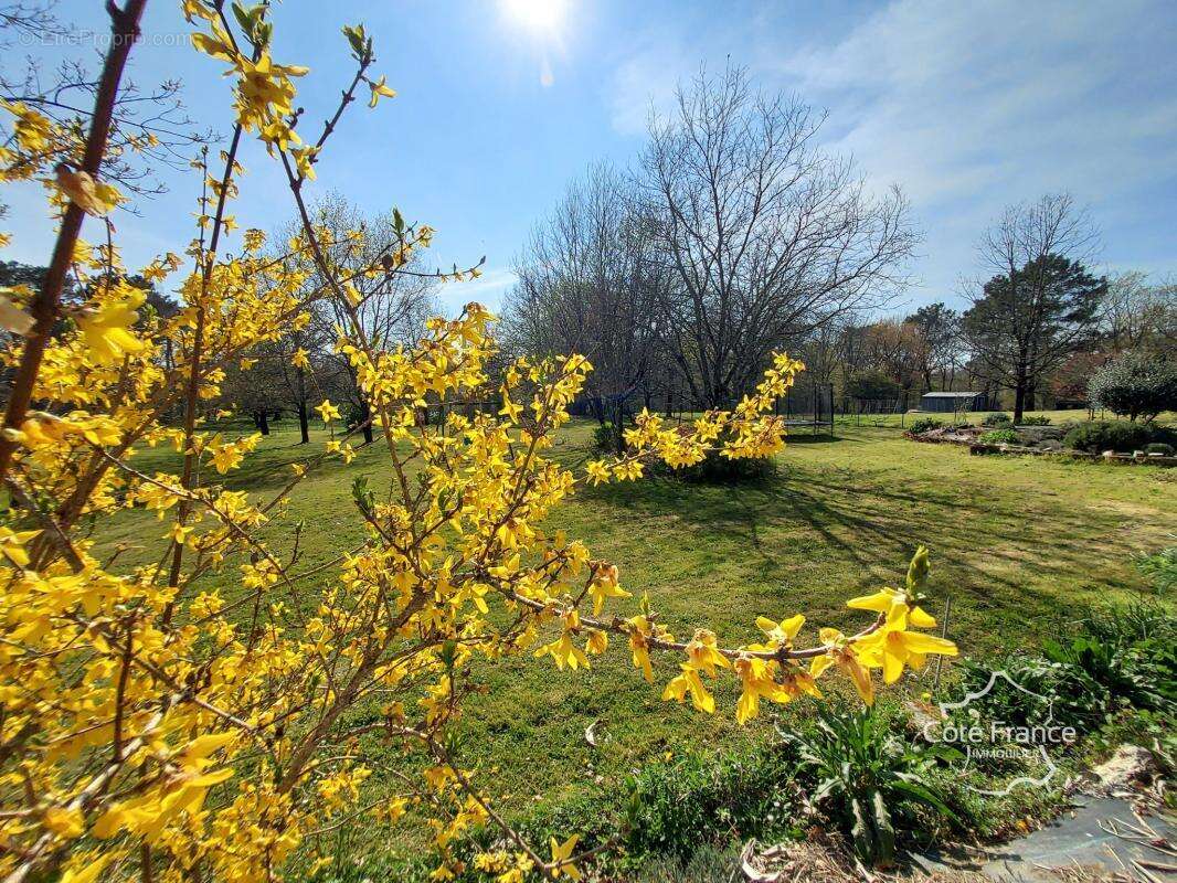 Maison à PUYNORMAND