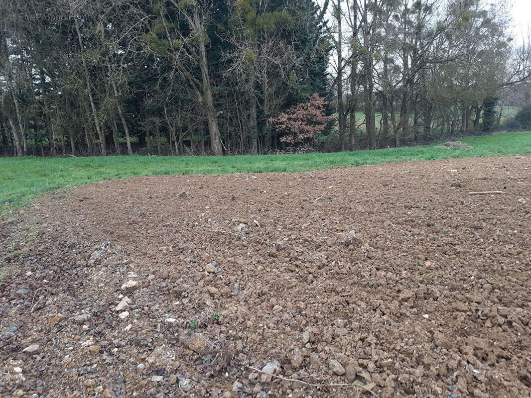 Terrain à SAINT-CHRISTOPHE-LA-COUPERIE