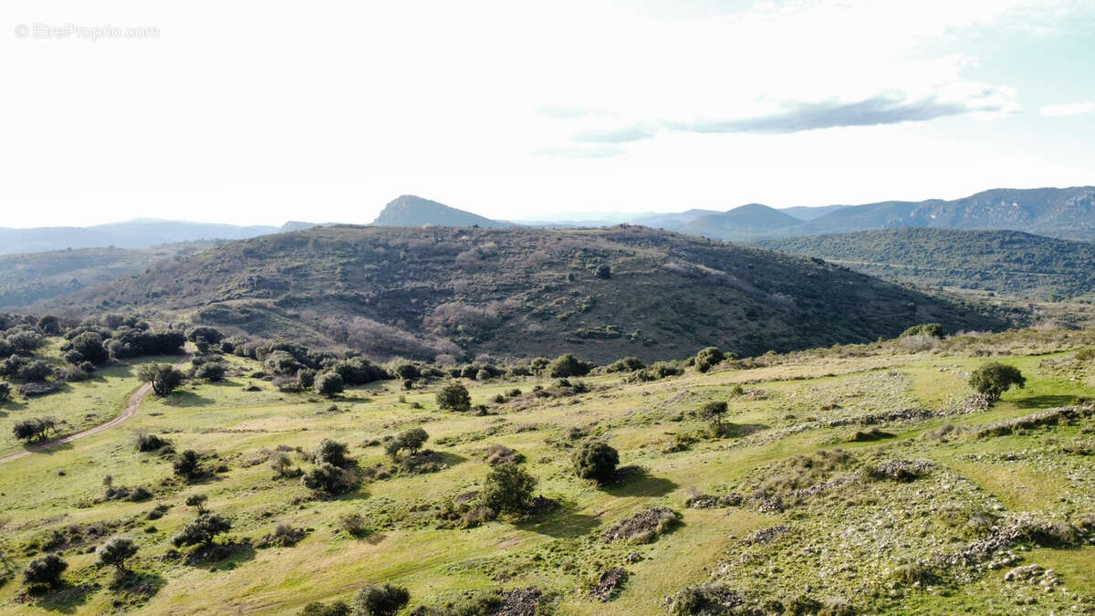 Terrain à CLERMONT-L&#039;HERAULT