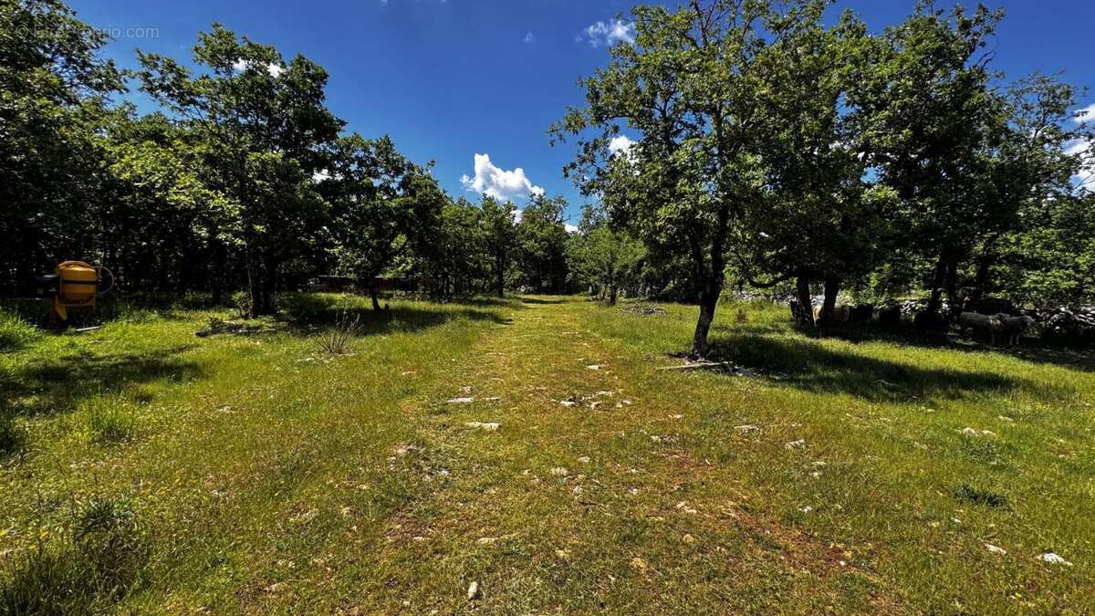 Terrain à SAINT-CHELS