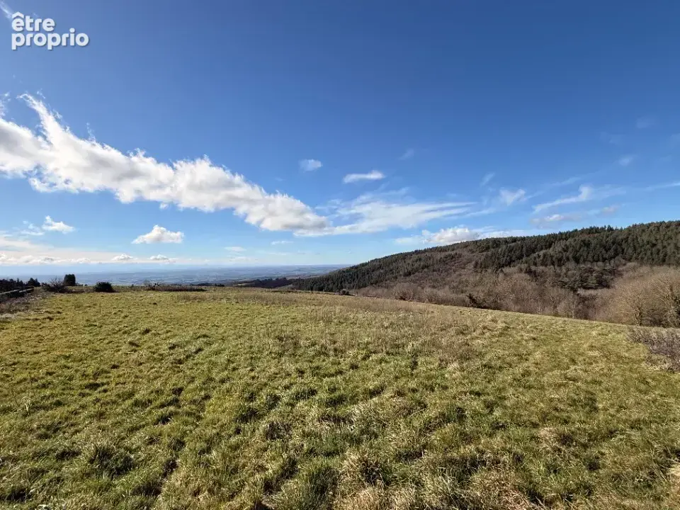 Terrain à LES BRUNELS