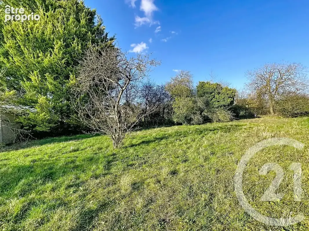 Terrain 1 504 m² à vendre à La Grande-Paroisse (77130) - photo 3