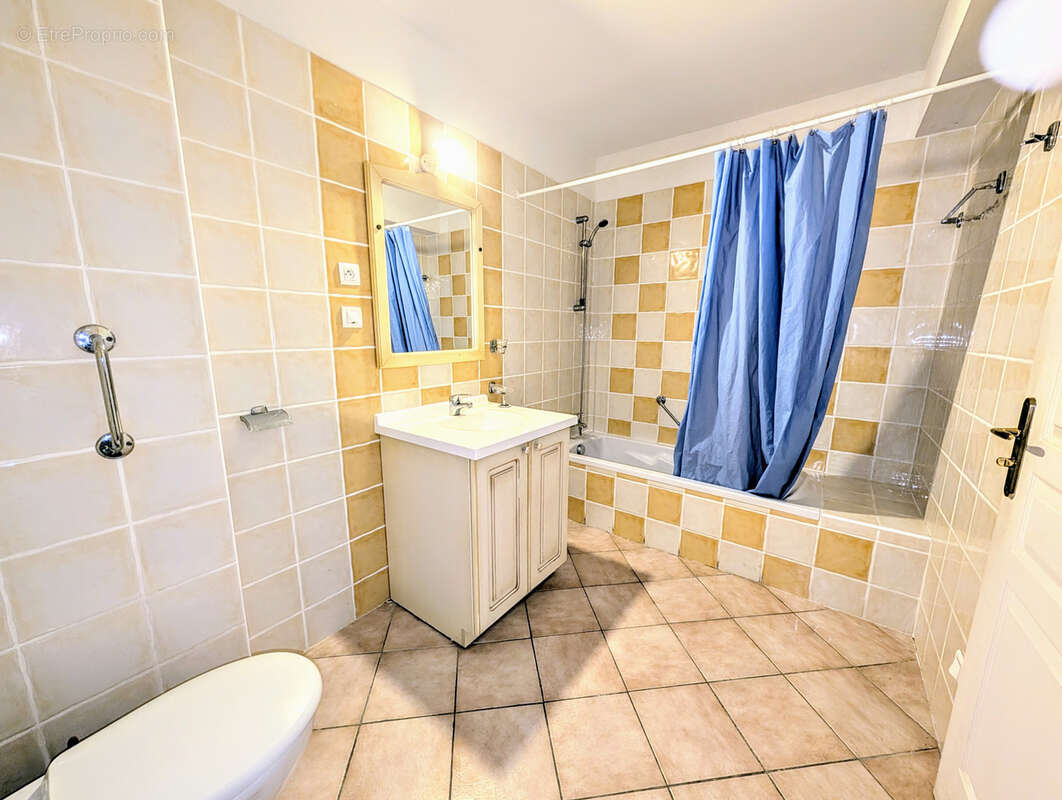 Vente : appart t2 vue fleuve et maquis porto ota - photo 7
