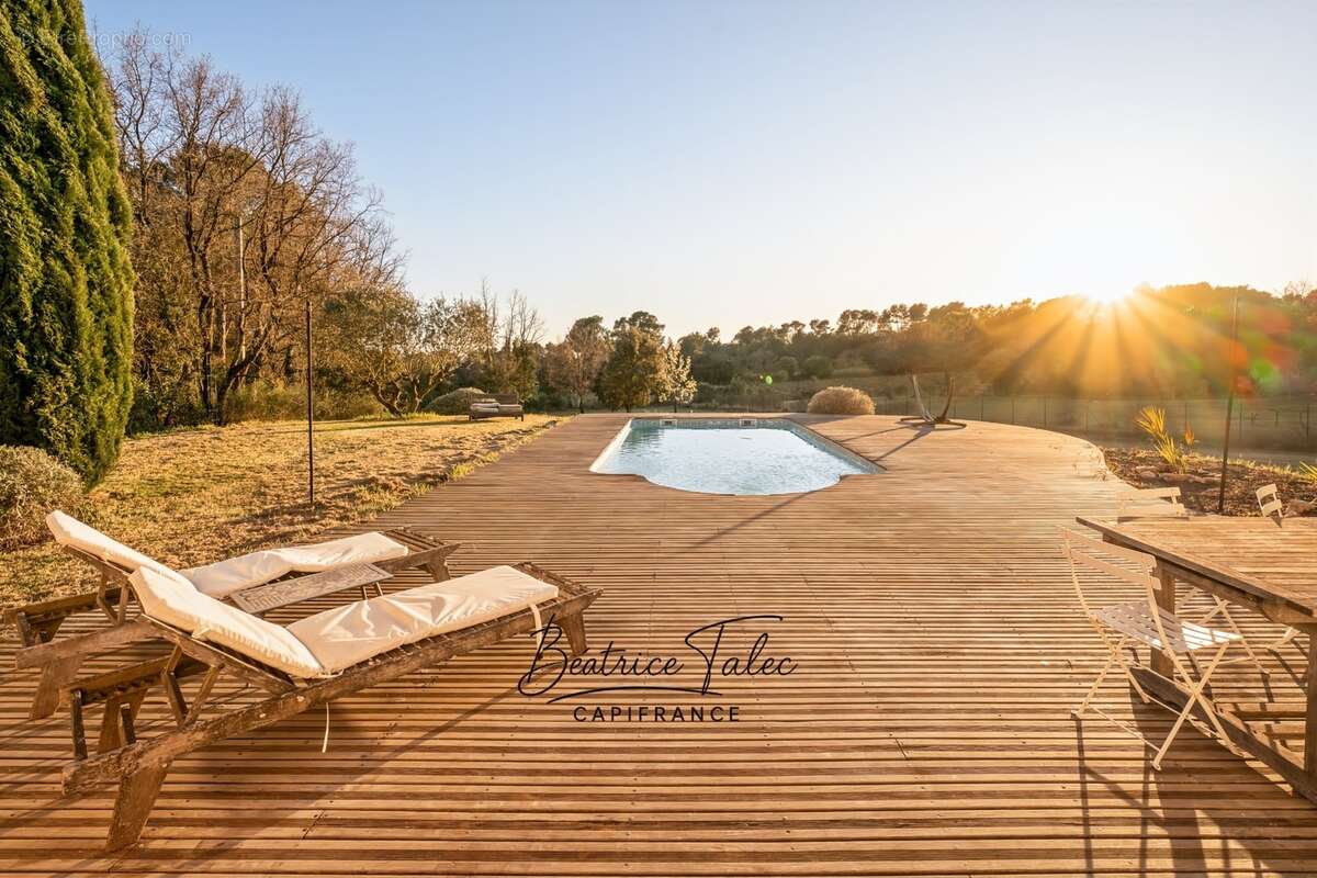Maison de caractère avec piscine 5 pièces au cœur des vignes, double garage, 6000m2 terrain plat arboré, magnifique vue dans un  - photo 9
