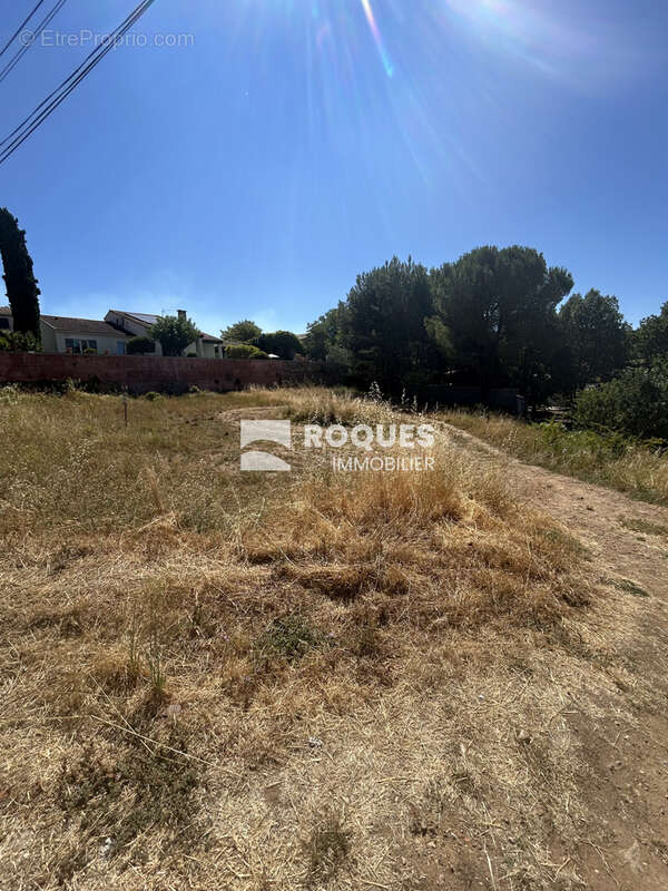 A ventre, terrain constructible situé àBédarieux (34600) - photo 2