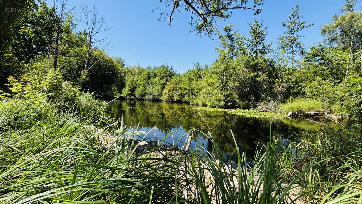 Maison à CHATEAUDUN