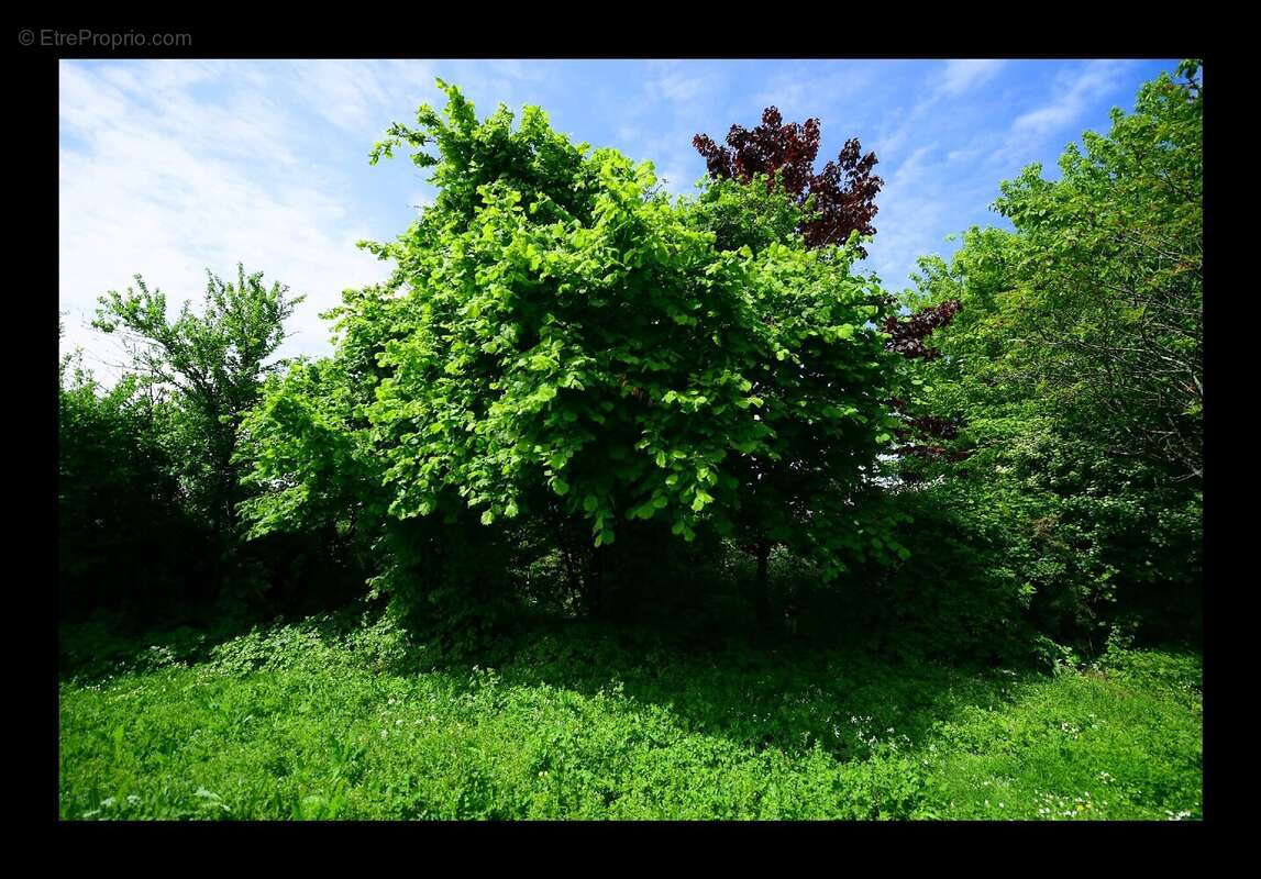 Maison à ARDILLIERES