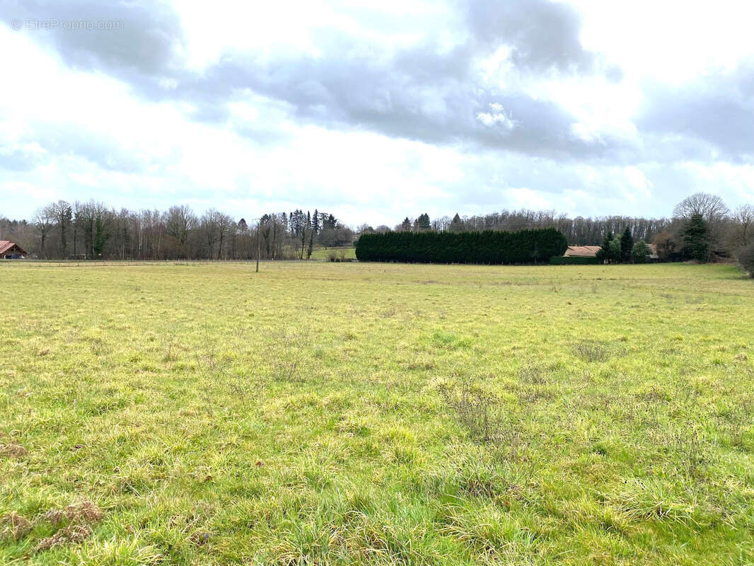 Terrain à SAINT-YRIEIX-LA-PERCHE