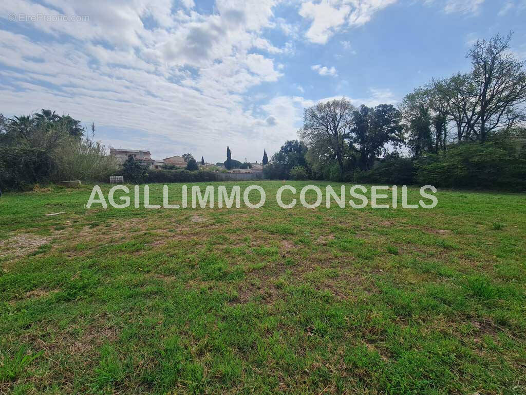 Terrain à bâtir Puget sur argens - Terrain à PUGET-SUR-ARGENS