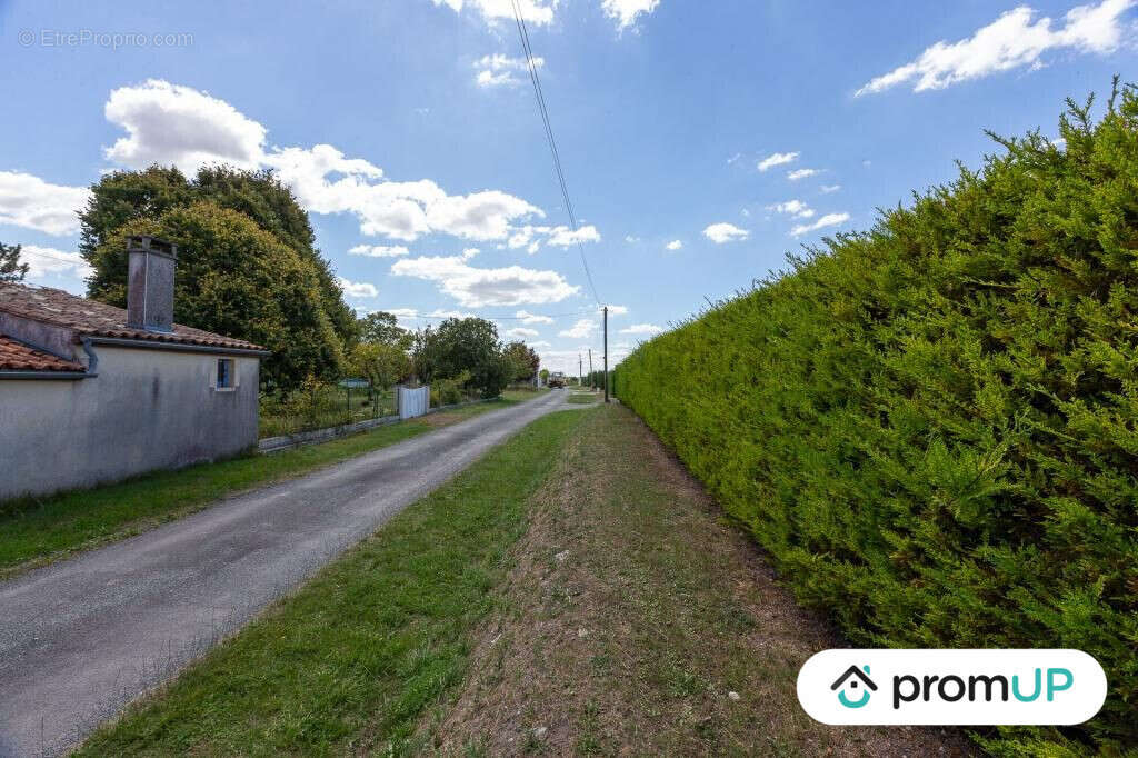 Terrain à FONTAINES-D'OZILLAC