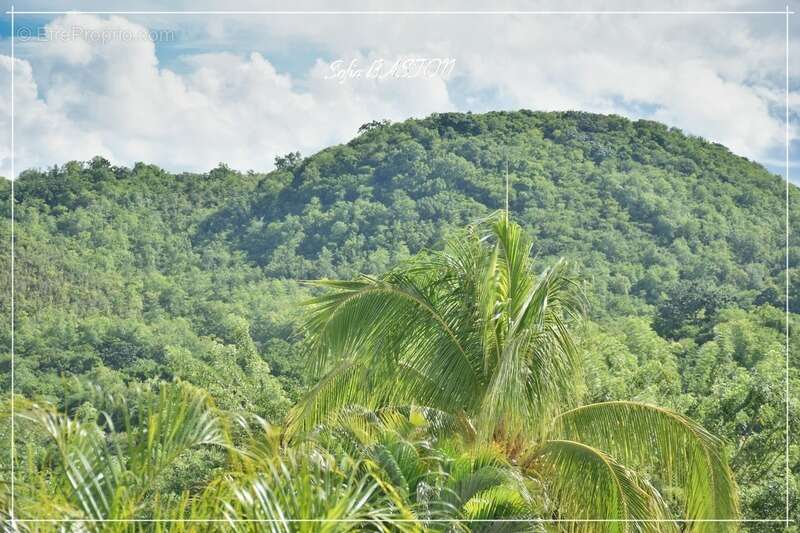 Maison à LES TROIS-ILETS