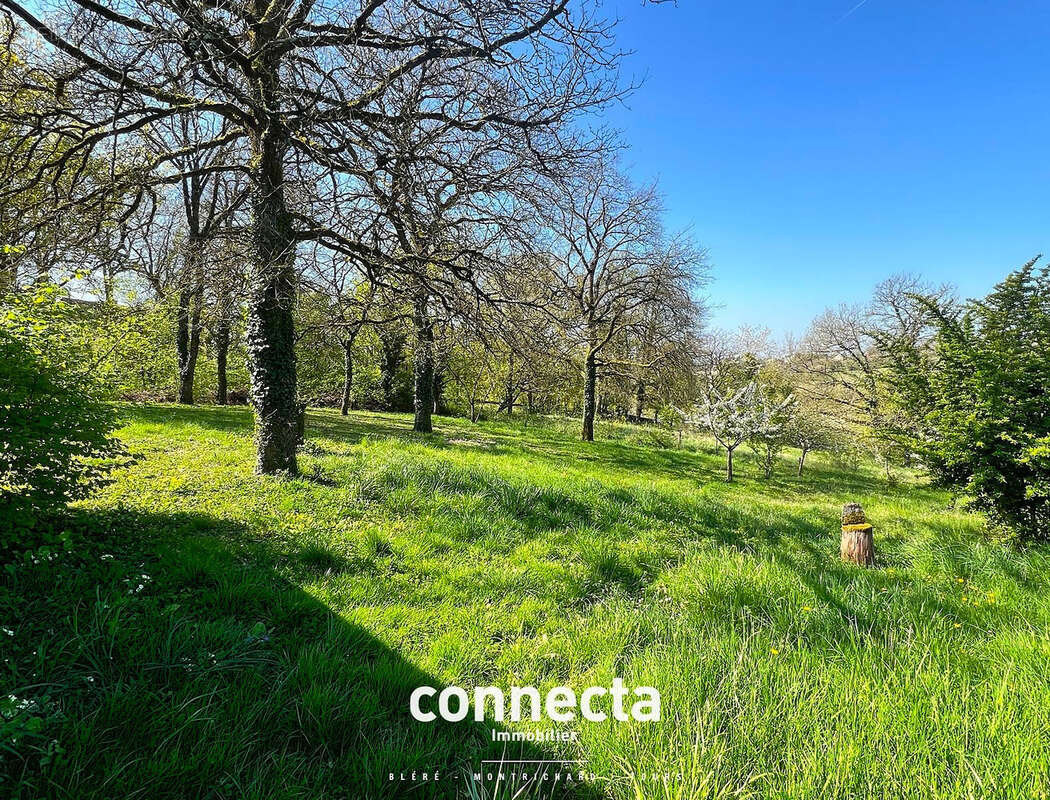 Maison à MONTRICHARD