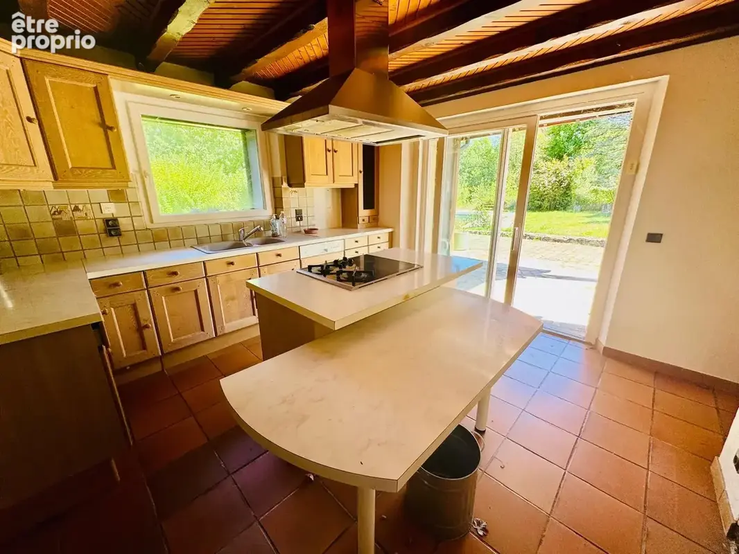 Allonzier la Caille  propriété  T8 300 m2  terrain 11000 m2 - photo 5