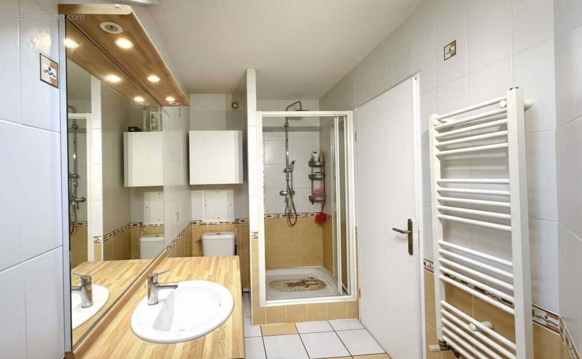 Appartement à VIZILLE