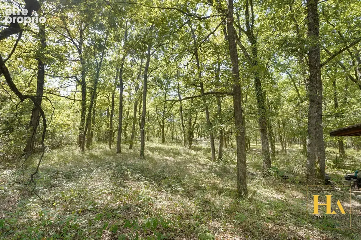RARE Maison au milieu d'un bois, Cépet 102 m2, T5, 4200 m2 de terrain arboré - photo 5