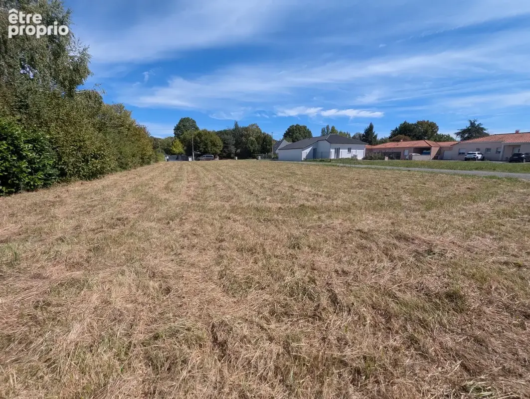 Terrain à vendre  ODOS (65) - photo 8