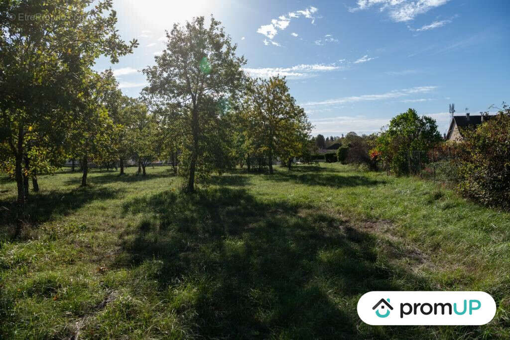 Terrain à LALBENQUE