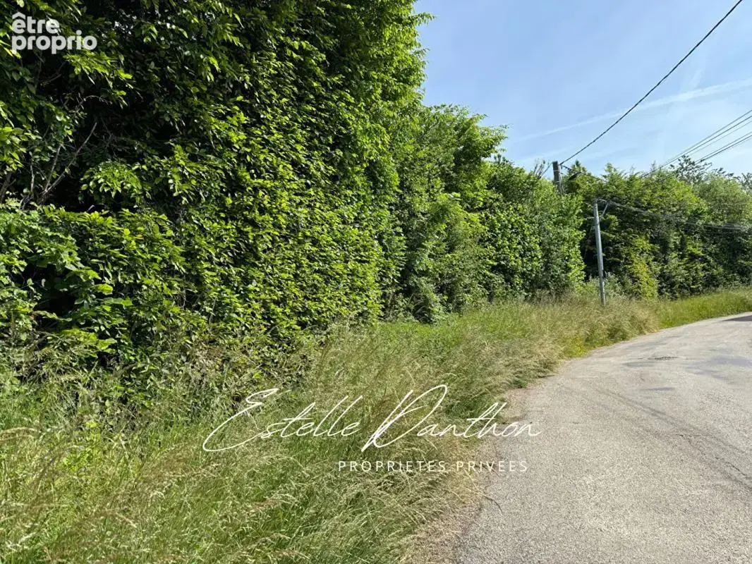 Terrain constructible de 700 m2 avec foret de 6000m2 - photo 3